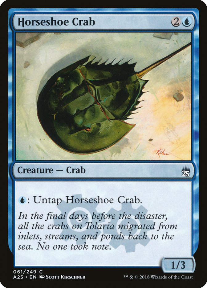 Horseshoe Crab (A25) (61)