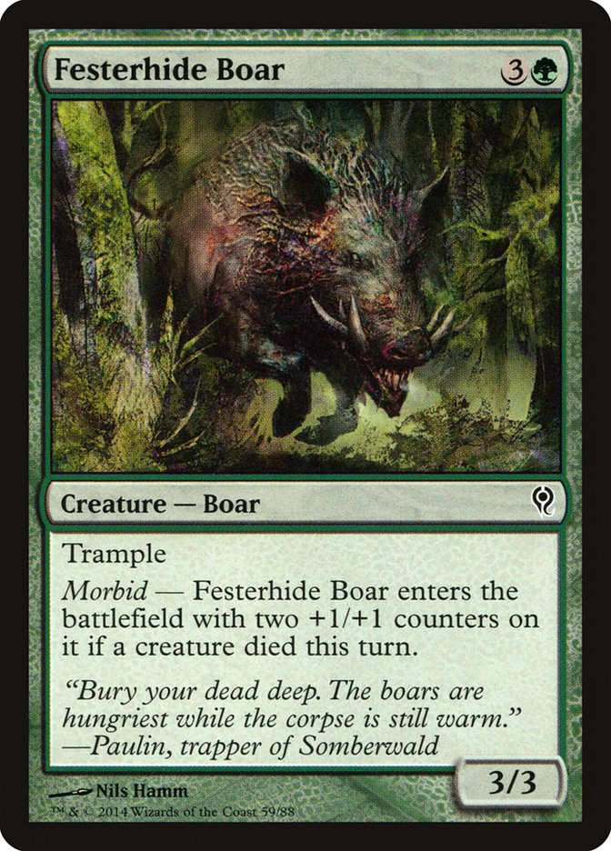 Festerhide Boar (ddm)