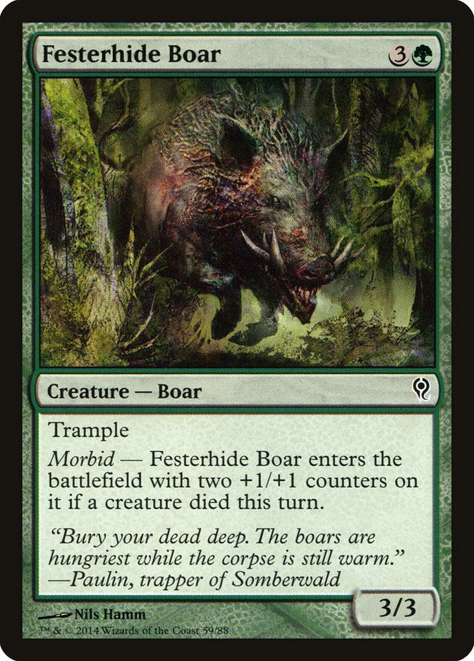 Festerhide Boar (ddm)