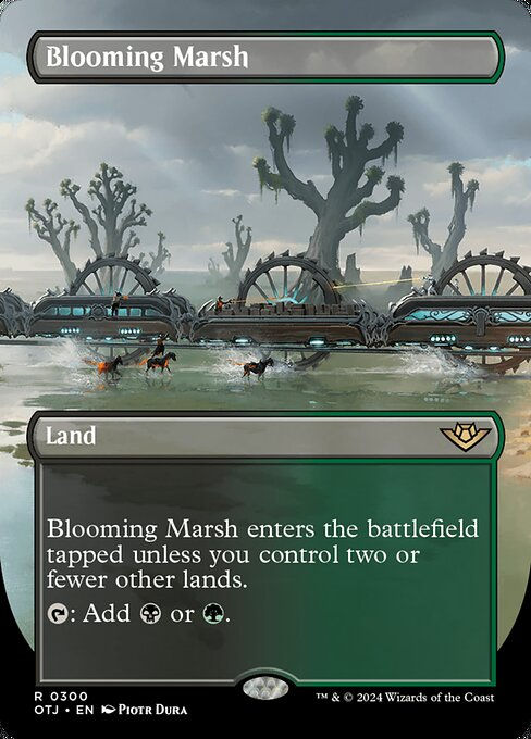 Blooming Marsh (otj) (300) / Borderless