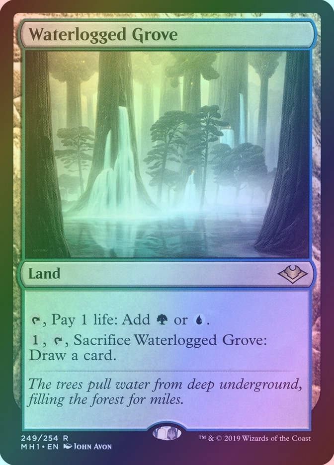 Waterlogged Grove (MH1) (249) / Foil