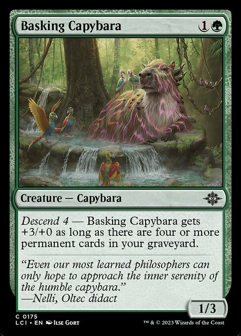 Basking Capybara (lci)