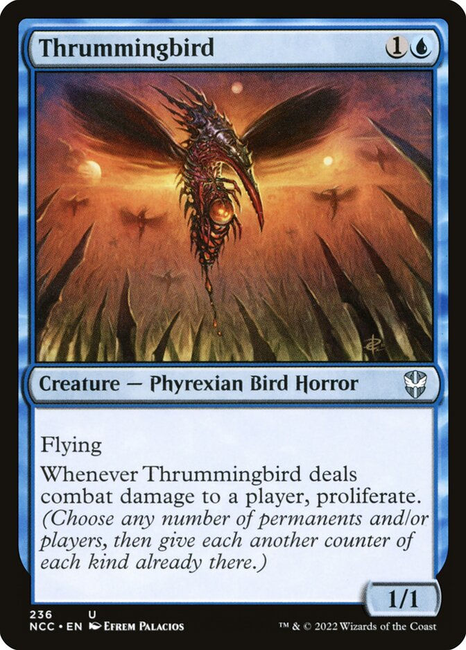Thrummingbird (NCC) (236)