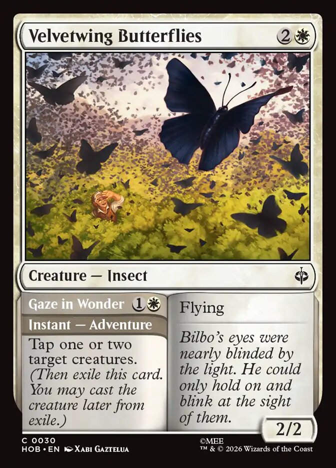 Velvetwing Butterflies // Gaze in Wonder (HOB) (30)
