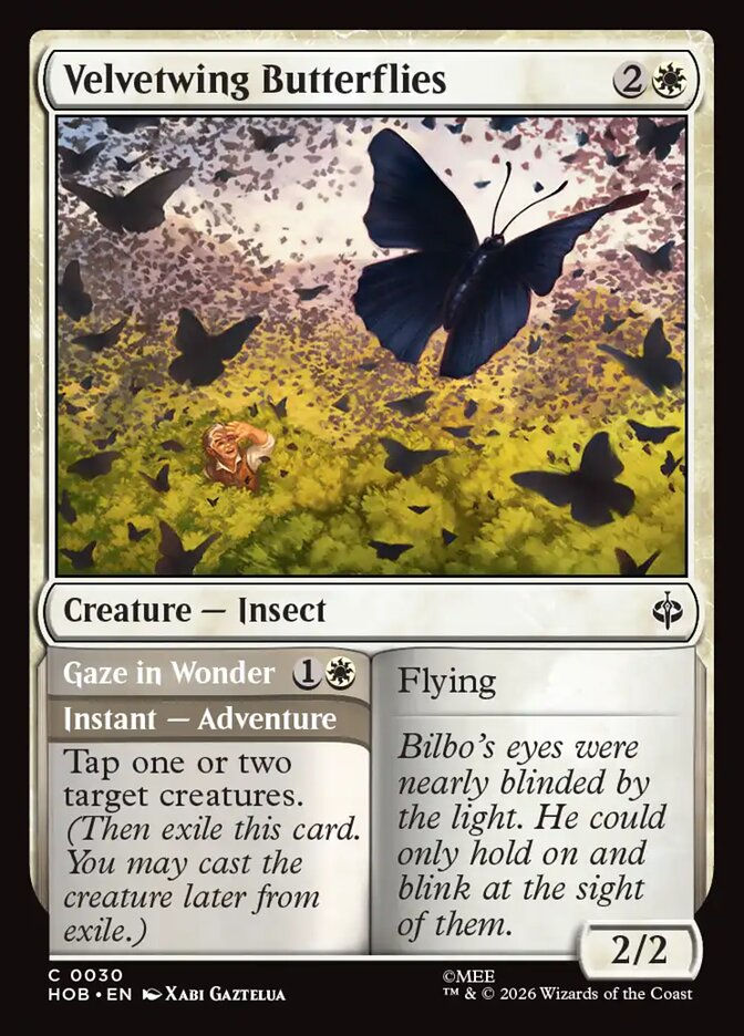 Velvetwing Butterflies // Gaze in Wonder (HOB) (30)