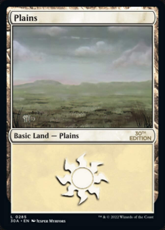 Plains (30a_285)