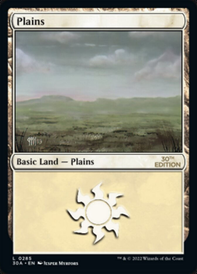 Plains (30a_285)