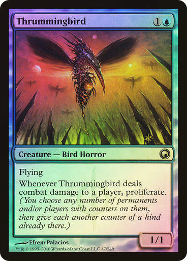 Thrummingbird (som) / Foil