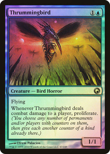 Thrummingbird (som) / Foil