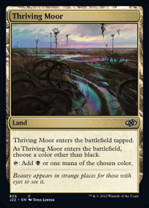 Thriving Moor (J22))