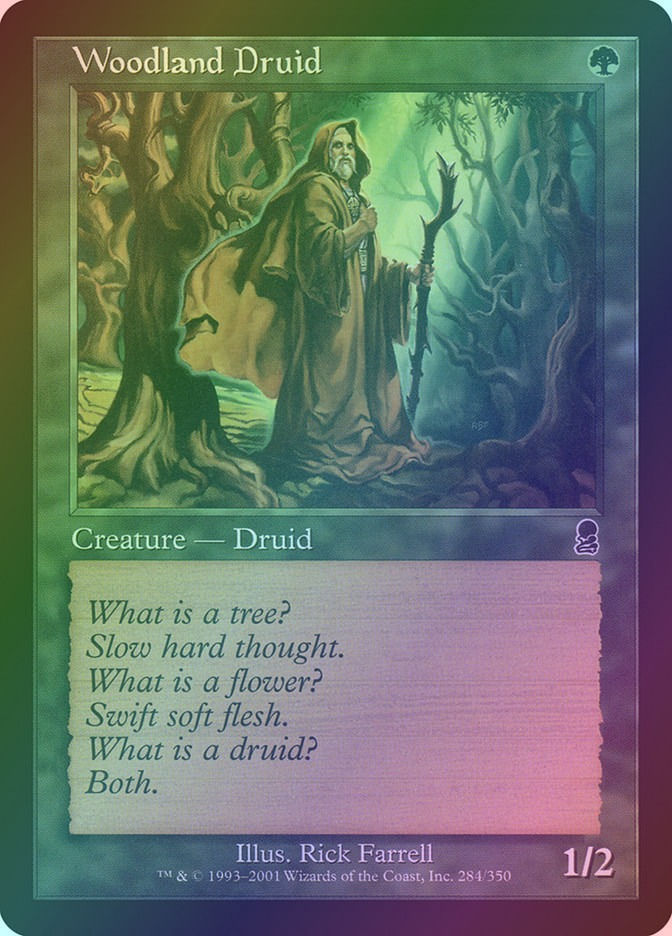 Woodland Druid (ODY) (284) / Foil