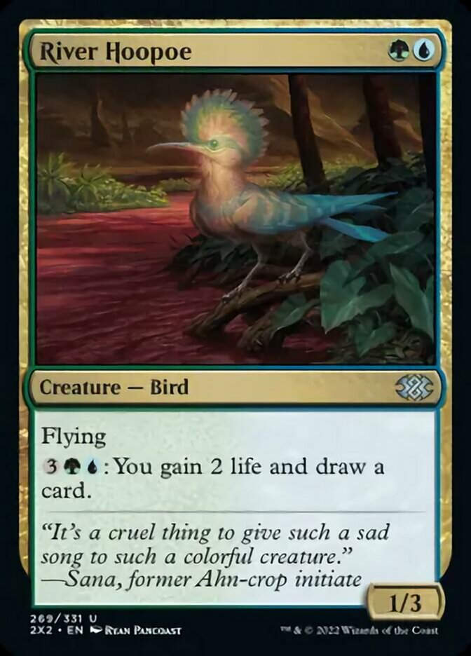 River Hoopoe (2X2)