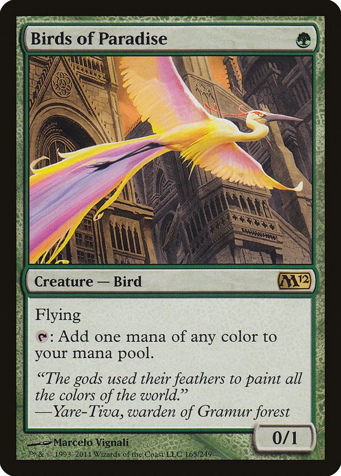 Birds of Paradise (M12) (165)