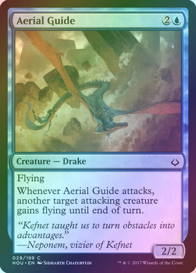 Aerial Guide (HOU) (29) / Foil