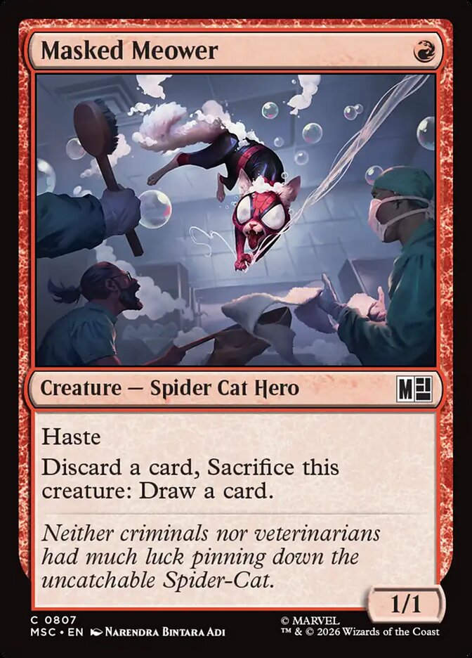 Masked Meower (MSC) (807)