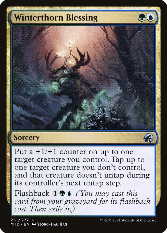 Winterthorn Blessing (MID) (251)