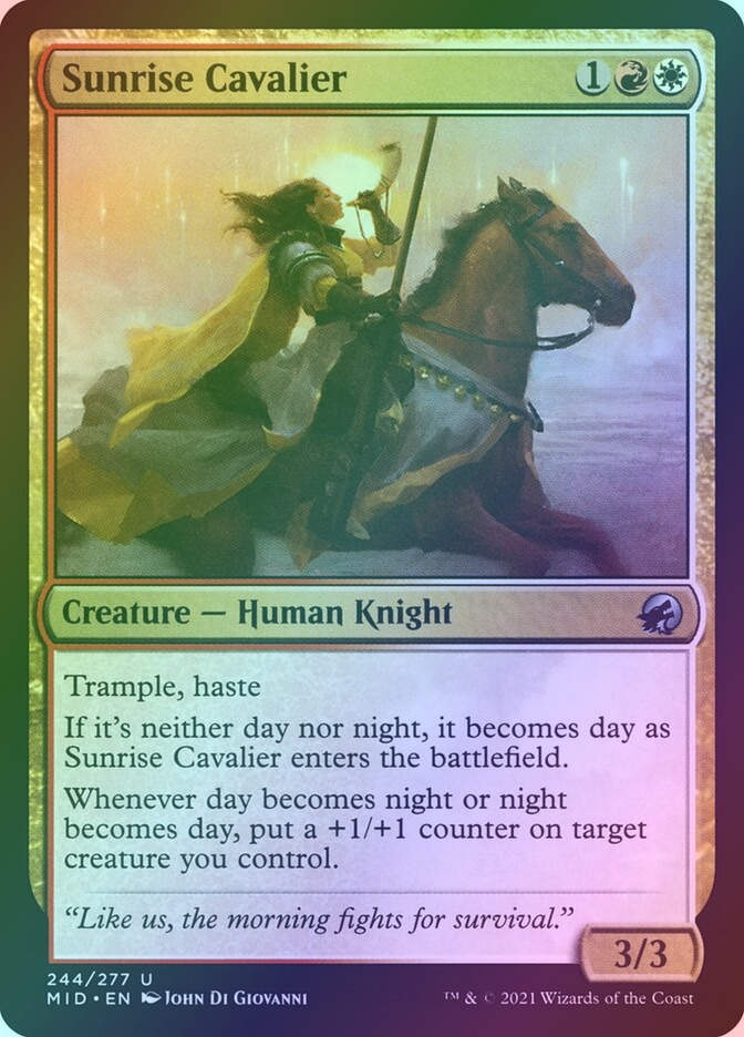 Sunrise Cavalier (MID) (244) / Foil