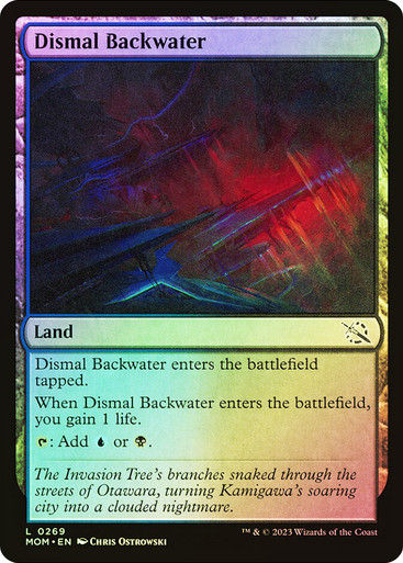Dismal Backwater (mom) / Foil