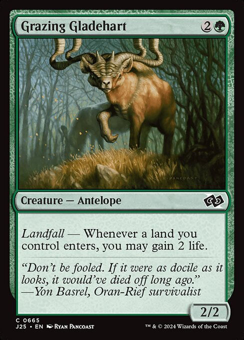 Grazing Gladehart (J25) (665)