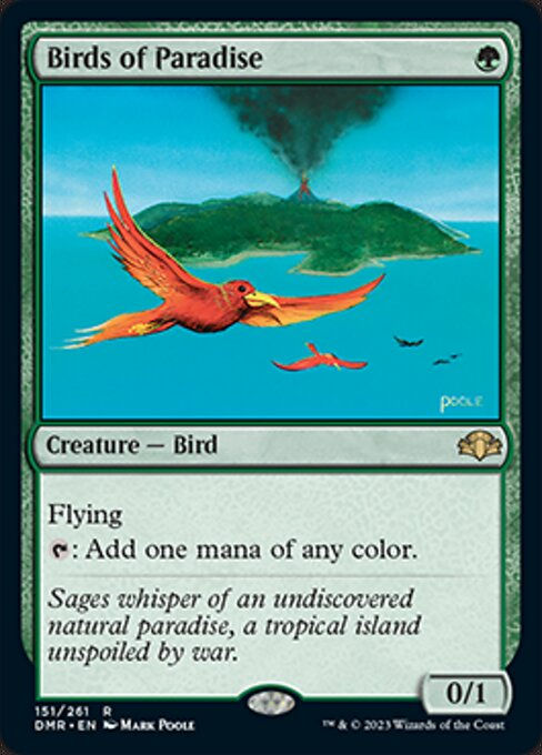 Birds of Paradise (DMR)