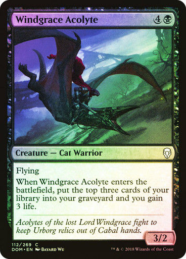 Windgrace Acolyte (DOM) (112) / Foil