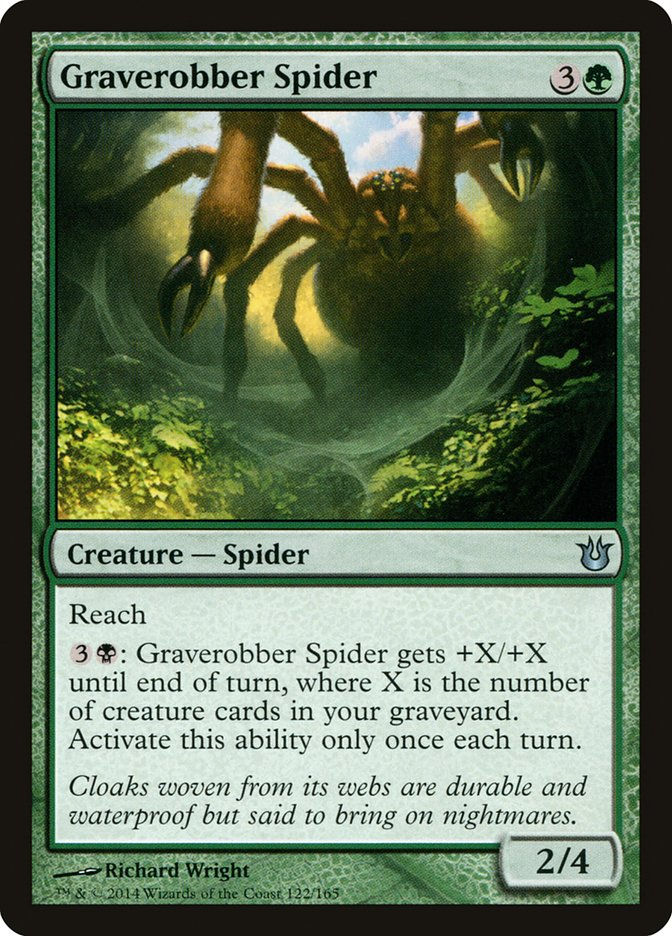 Graverobber Spider (BNG) (122)