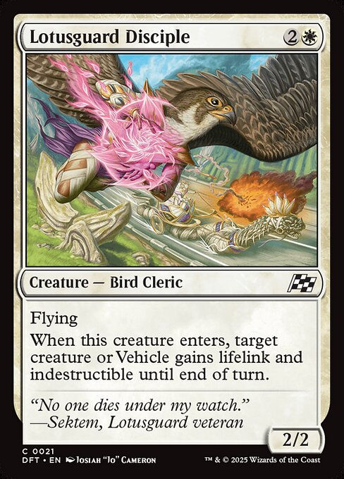 Lotusguard Disciple (DFT) (21)