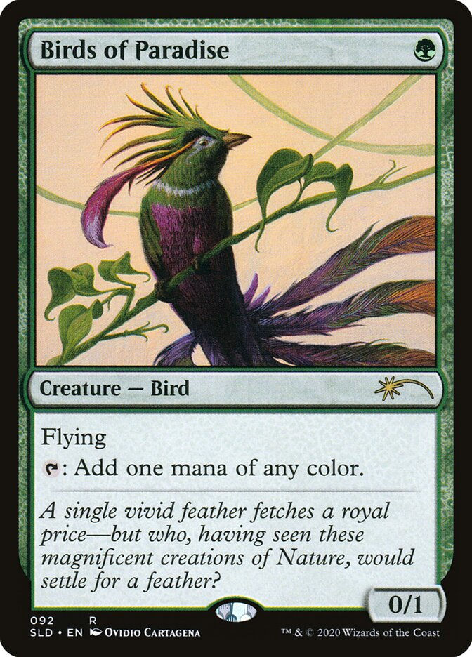 Birds of Paradise (SLD) (92)