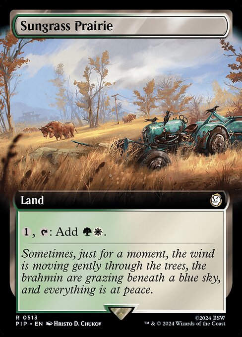 Sungrass Prairie (pip) (513) / Extended Art