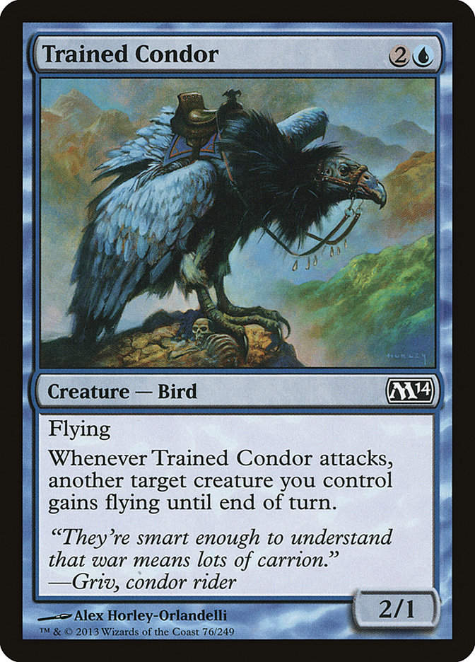 Trained Condor (M14) (76)