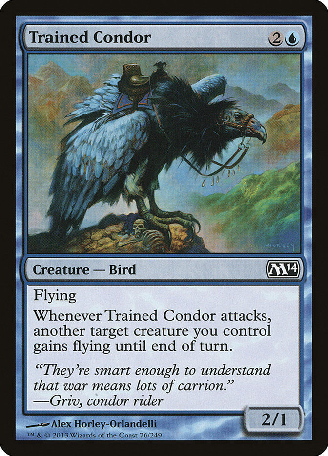 Trained Condor (M14) (76)