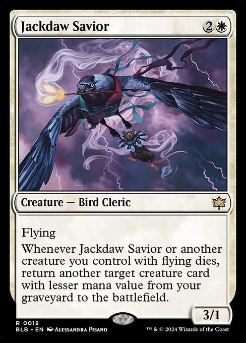 Jackdaw Savior (blb) (18)