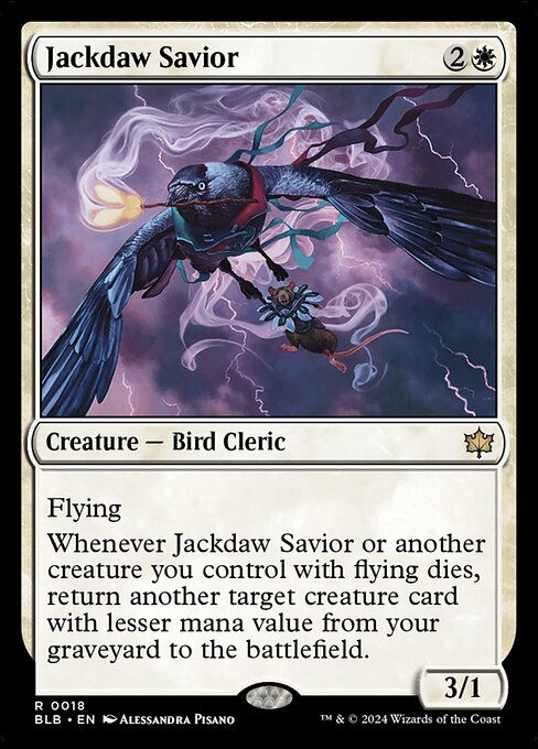 Jackdaw Savior (blb) (18)