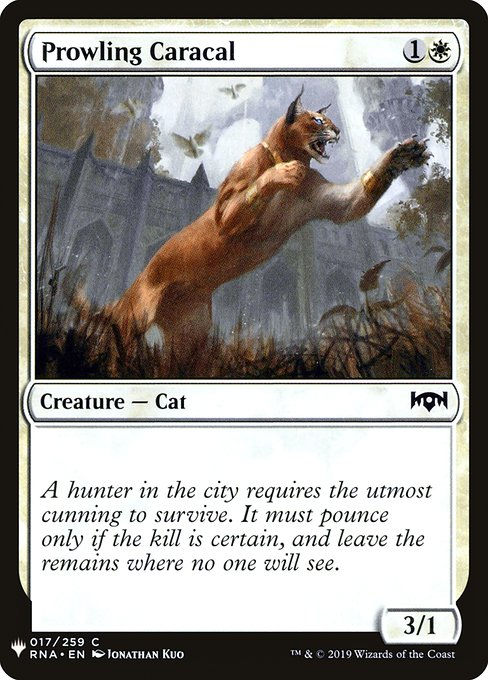 Prowling Caracal (PLST) (RNA-17)
