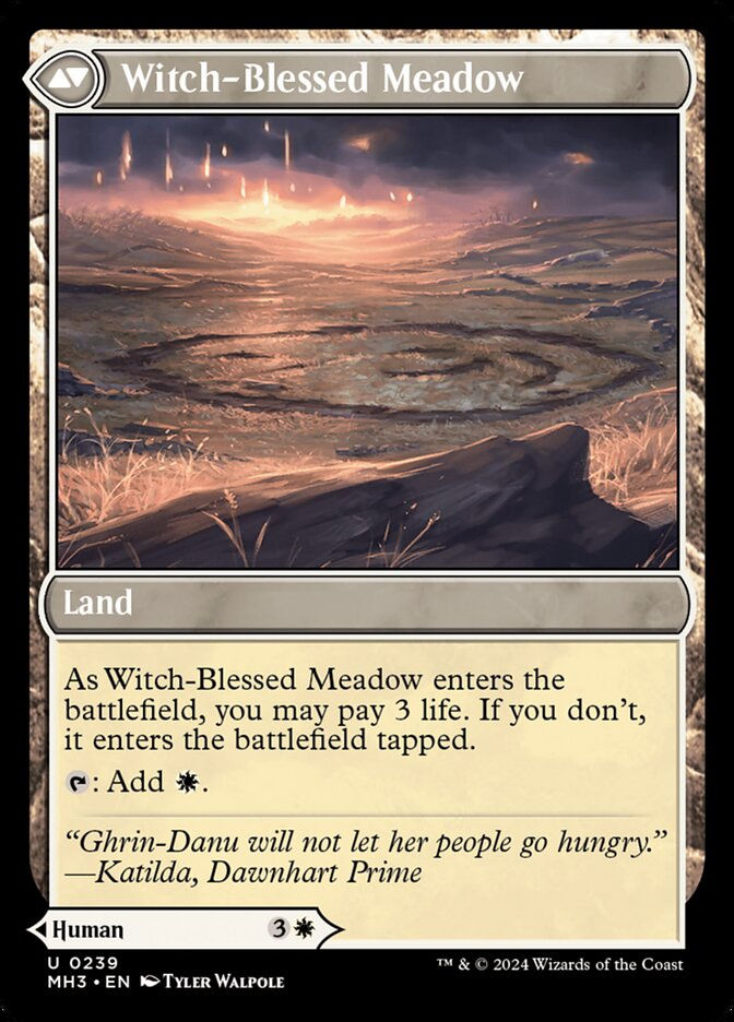 Witch Enchanter // Witch-Blessed Meadow (MH3) (239) — cara 2 de 2