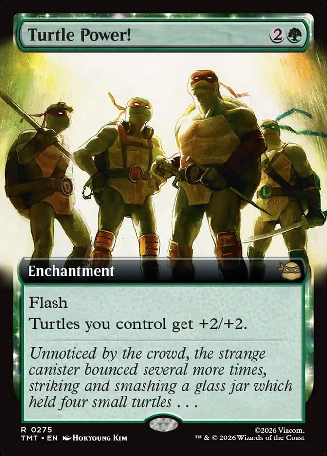 Turtle Power! (TMT) (275) / Extended Art