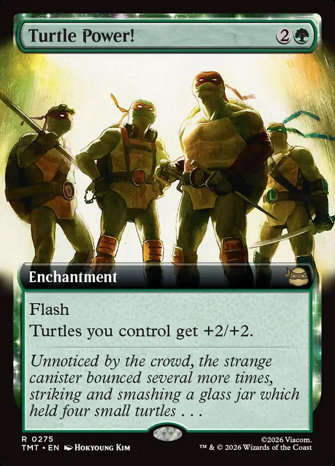 Turtle Power! (TMT) (275) / Extended Art