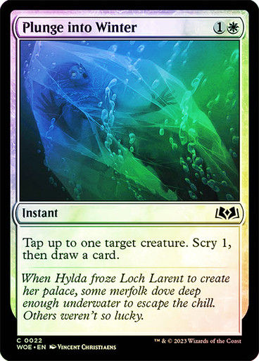 Plunge into Winter (woe) / Foil