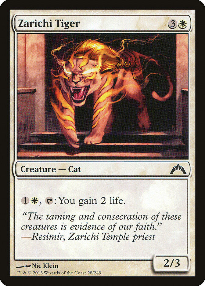 Zarichi Tiger (GTC) (28)