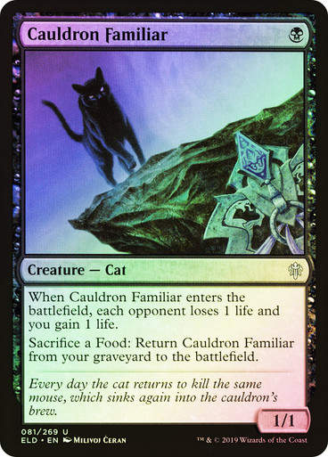 Cauldron Familiar (ELD) (81) / Foil