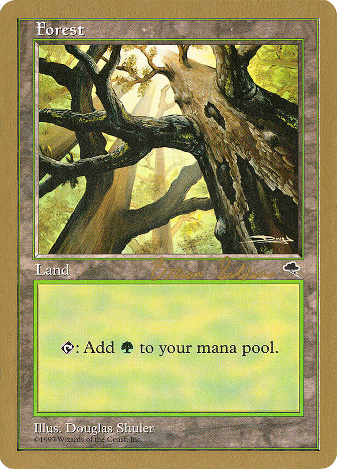 Forest (WC98) (bs347)