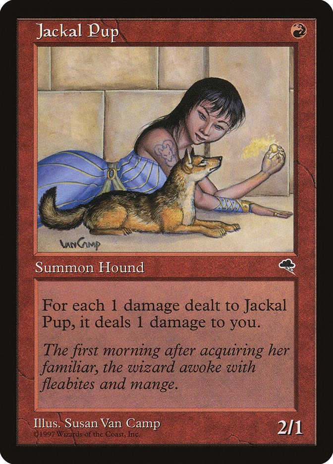 Jackal Pup (TMP) (183)