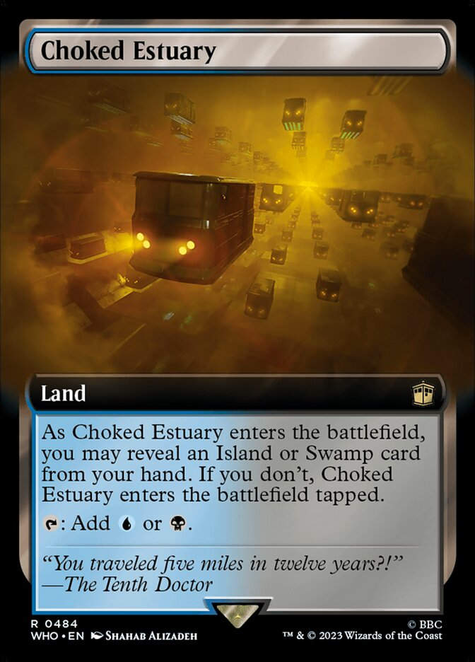Choked Estuary (WHO) (484) / Extended Art