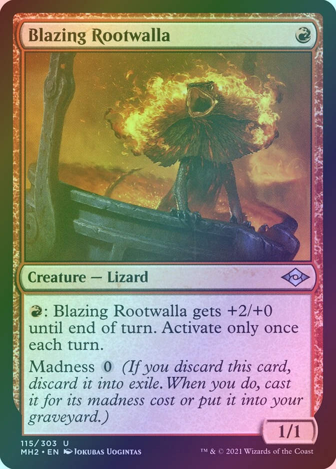 Blazing Rootwalla (MH2) (115) / Foil