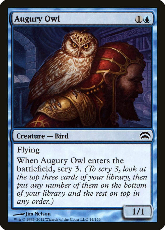 Augury Owl (pc2)