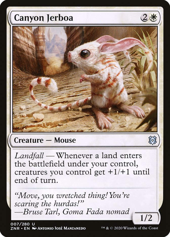 Canyon Jerboa (ZNR) (7)