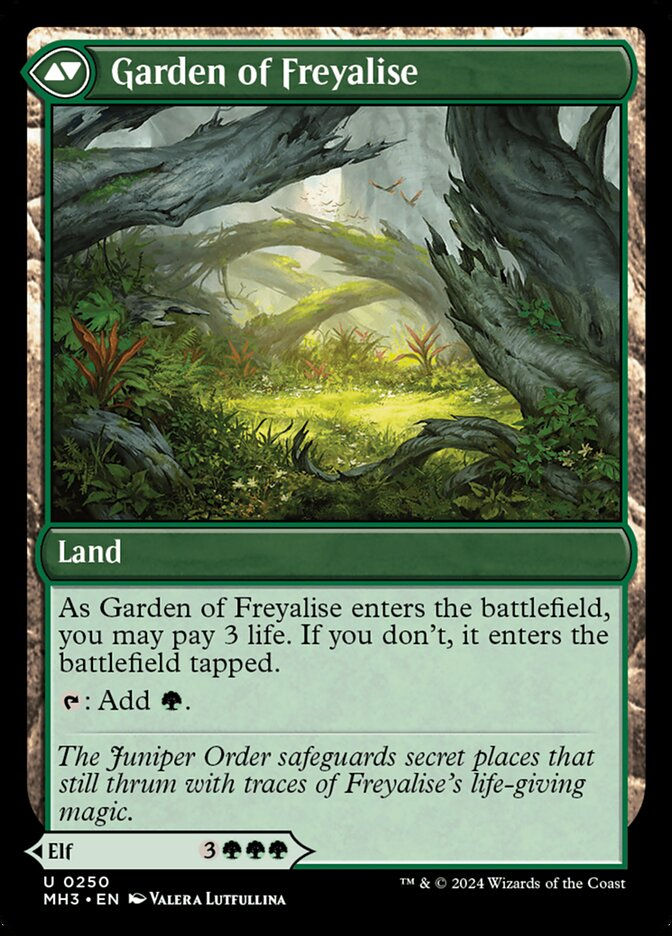 Disciple of Freyalise // Garden of Freyalise (MH3) (250) — cara 2 de 2