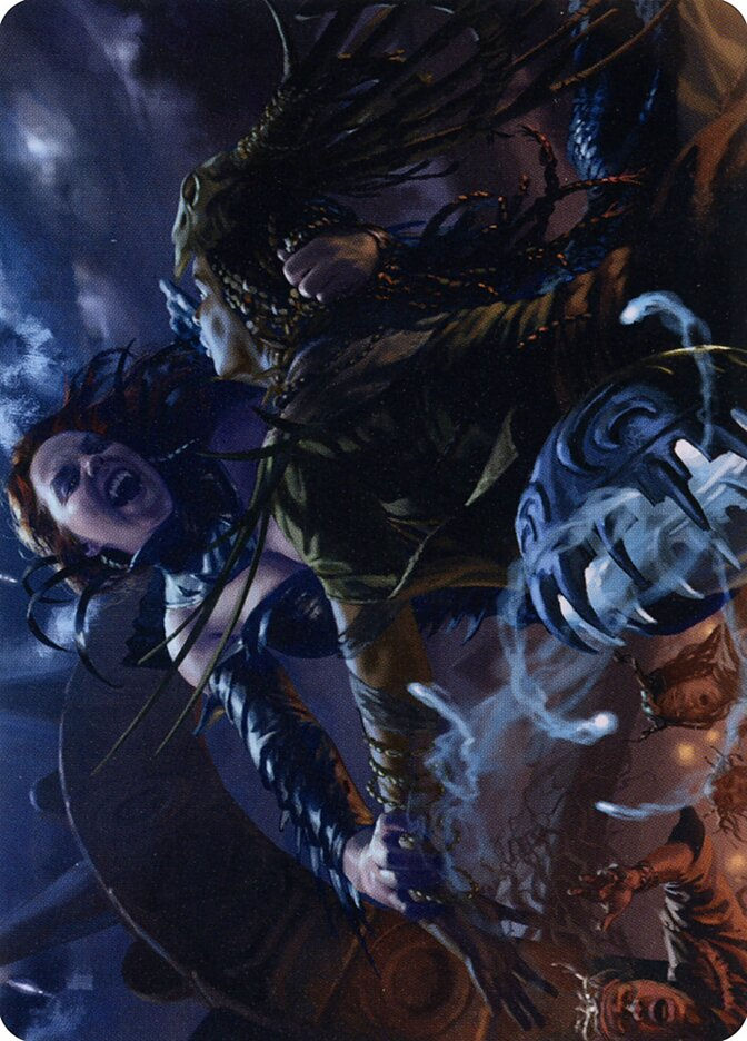 Olivia's Midnight Ambush (AMID) (39) / Firma Dorada
