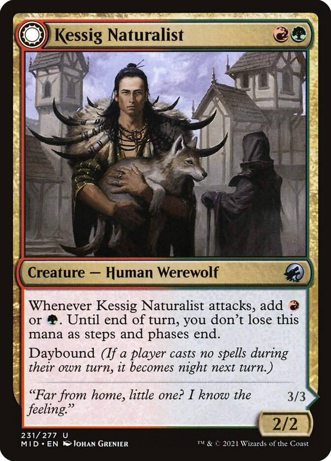 Kessig Naturalist // Lord of the Ulvenwald (MID) (231)