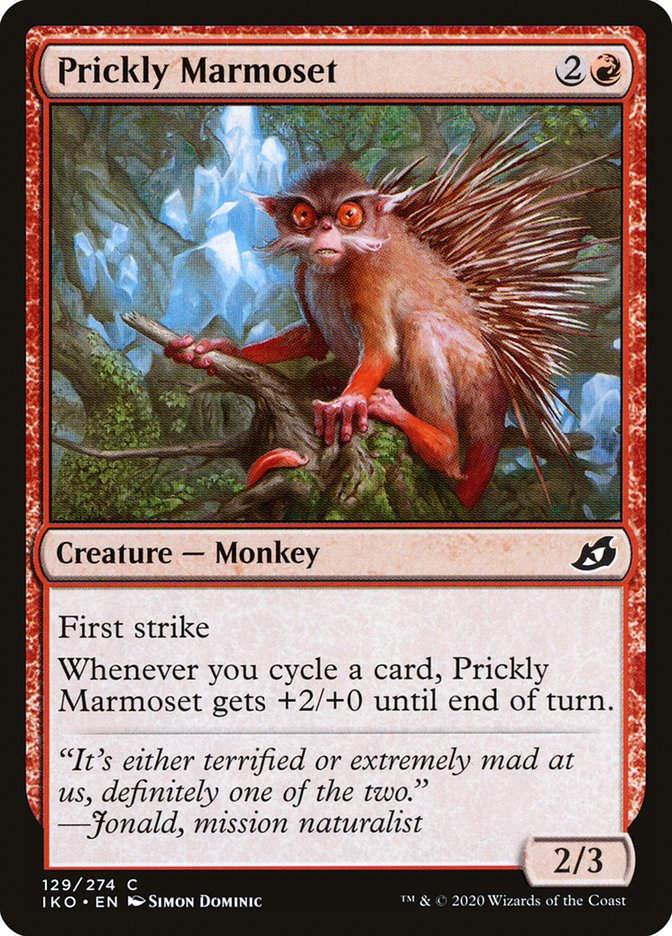 Prickly Marmoset (IKO) (129)